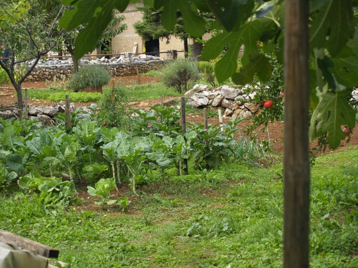 Andela Hotel Medjugorje Luaran gambar